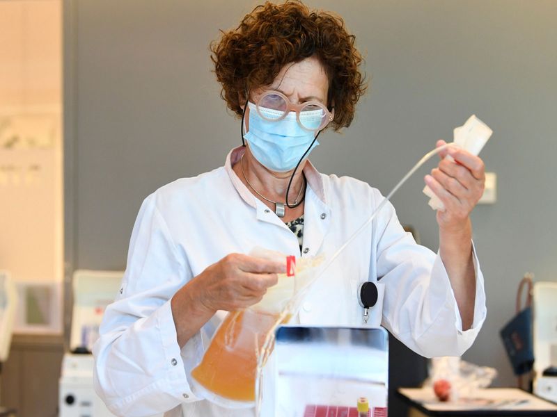 दो प्रकार के कोलन पॉलीप्स आंत्र कैंसर के खतरे को पांच गुना बढ़ा सकते हैं: अध्ययन