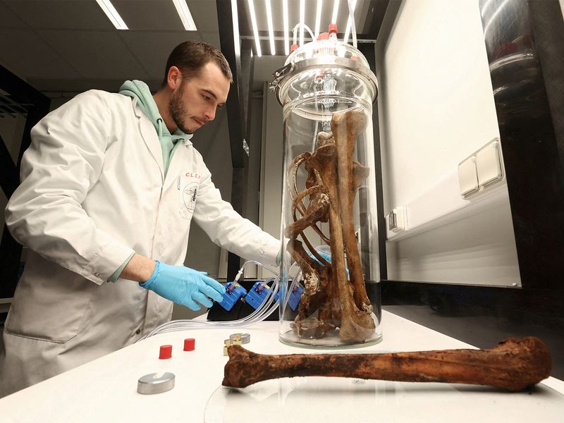 अध्ययन से पता चला है कि अतिरिक्त कैलोरी के बिना ब्रेड वजन क्यों बढ़ा सकती है