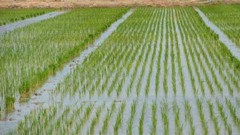 भूजल संकट: तात्कालिकता की भावना गायब है